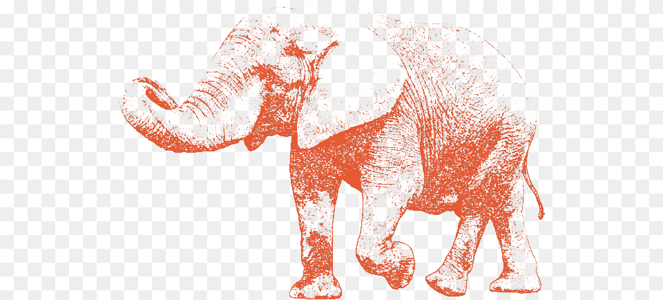 Elephant Walking With Its Trunk Up Indian Elephant, Animal, Mammal, Wildlife Free Transparent Png