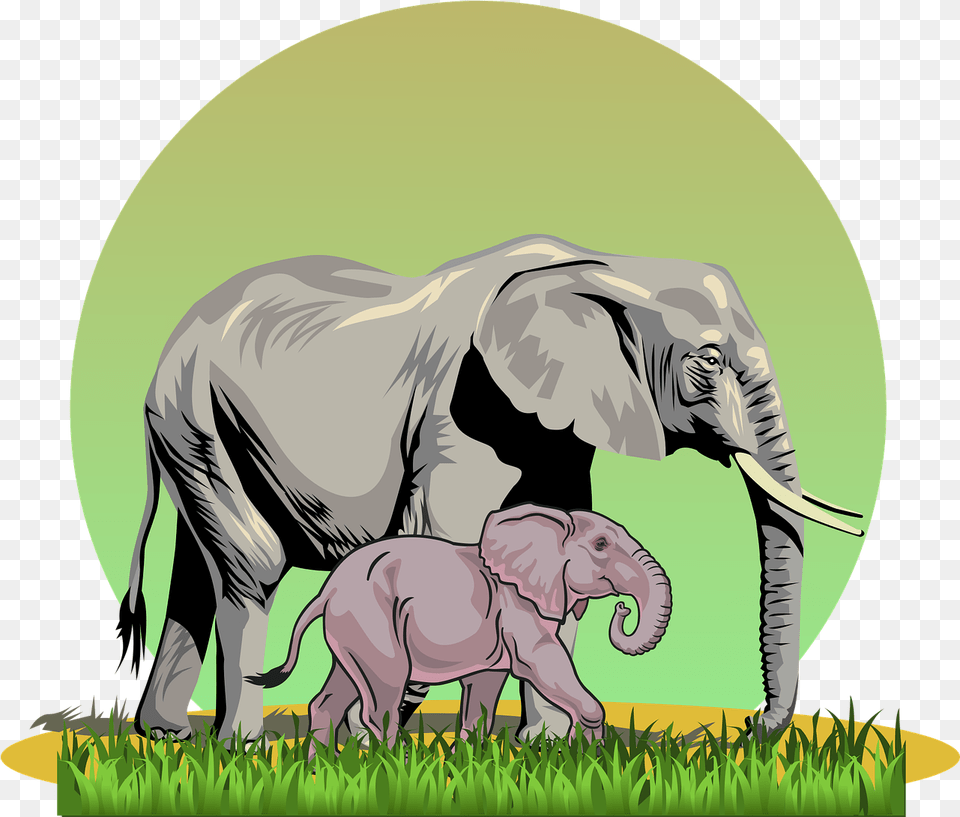 Elephant With Cub Safari Free Vector Graphic On Pixabay Alphabet Flash Cards E, Animal, Mammal, Wildlife, Face Png
