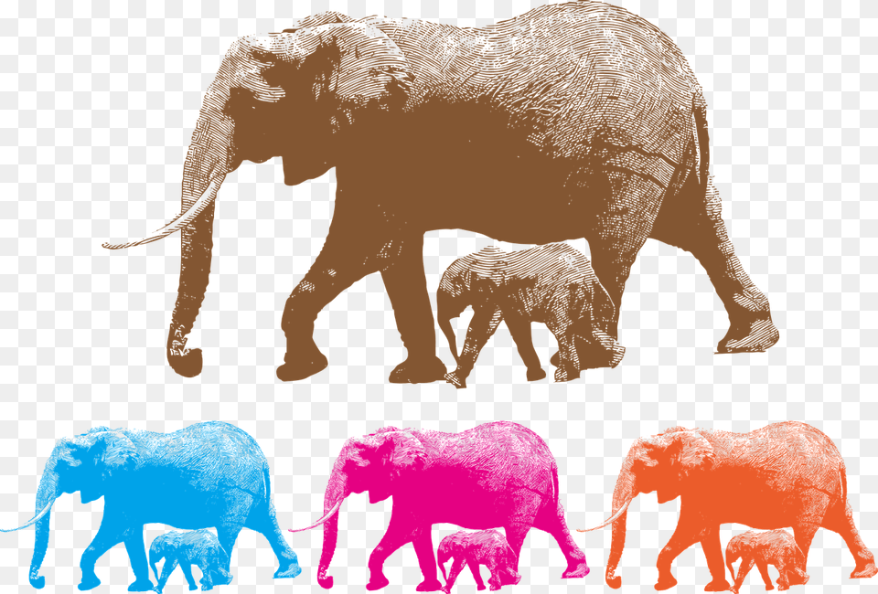 Elephant With Cub Scenic Wallpaper Animals Elephant, Animal, Mammal, Wildlife, Bear Free Png