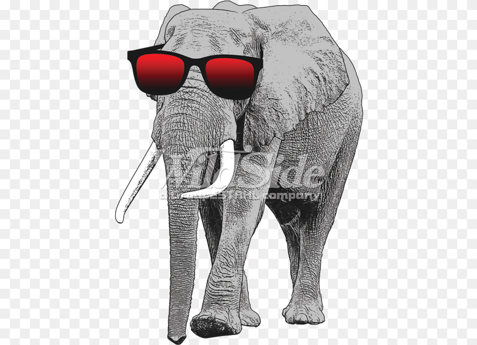 Elephant With Sun Glasses Elephant With Sunglasses, Animal, Mammal, Wildlife, Accessories Png