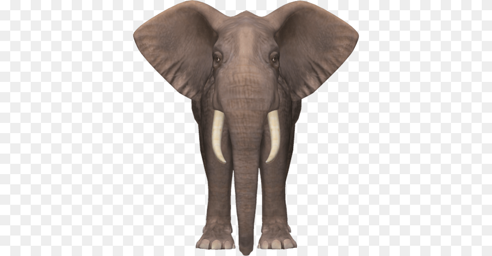 Elephants, Animal, Elephant, Mammal, Wildlife Png Image