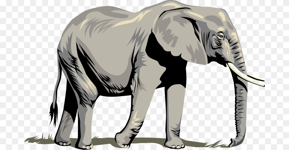 Elephants Images Download Elephant, Adult, Male, Man, Person Free Png