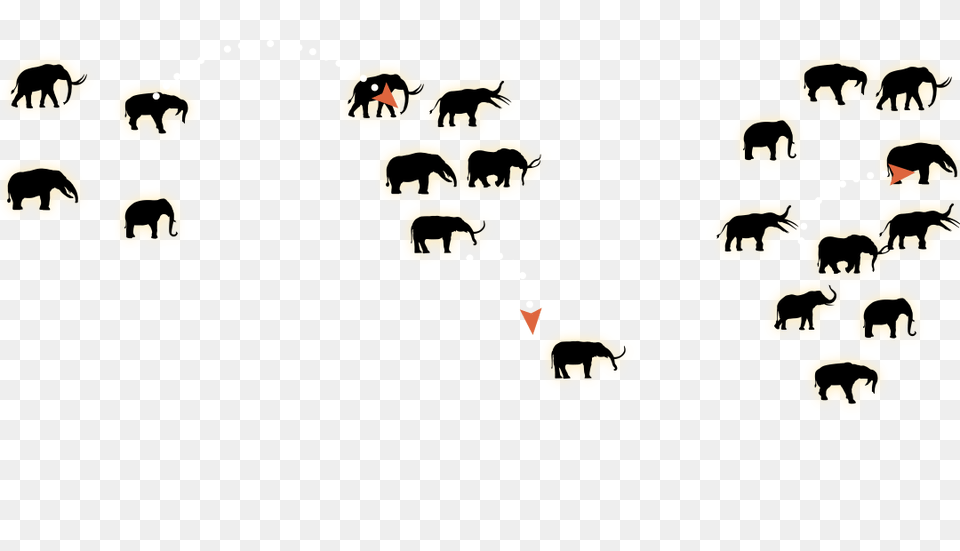 Elephants Paleo Sleuths, Animal, Mammal, Wildlife, Bear Free Png