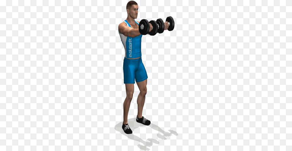 Elevacion De Pesas Weight Training, Adult, Person, Man, Male Free Png
