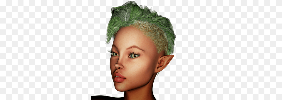 Elf Woman, Adult, Portrait, Face Png