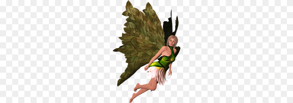 Elf Adult, Female, Leaf, Person Png