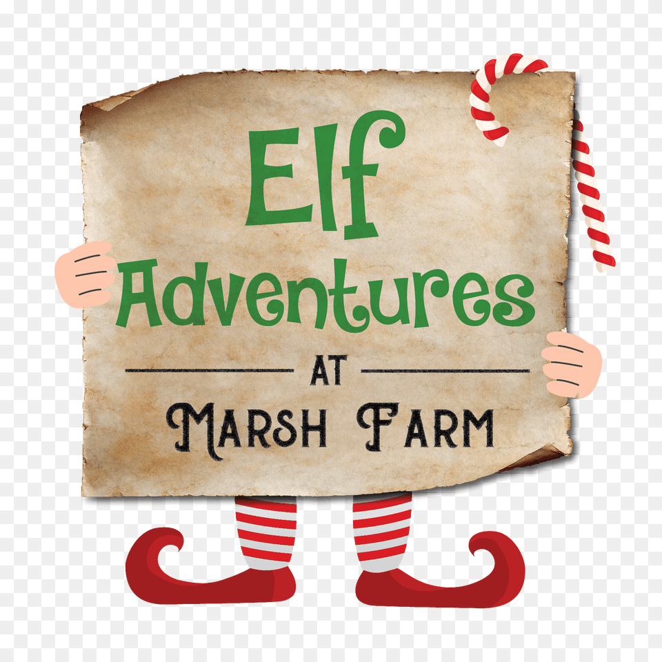 Elf Adventures, Book, Publication, Baby, Person Png Image