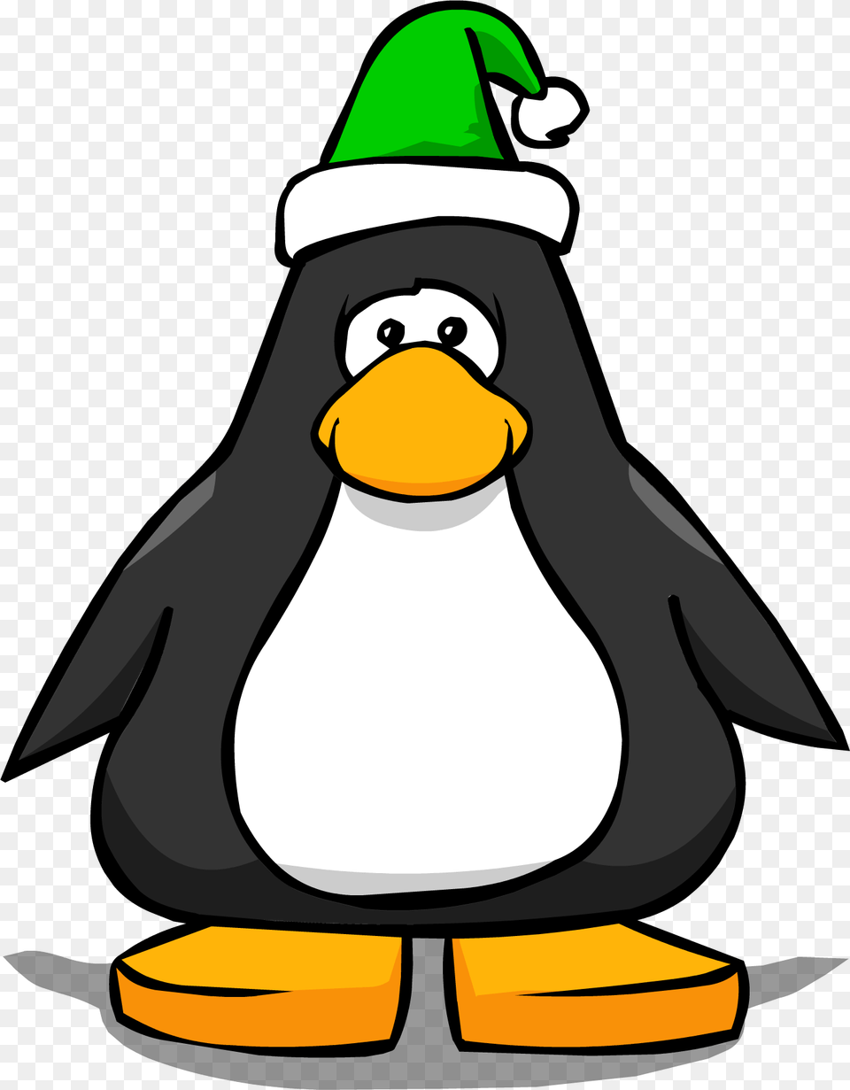 Elf Hat From A Player Card, Animal, Bird, Penguin, Nature Free Transparent Png