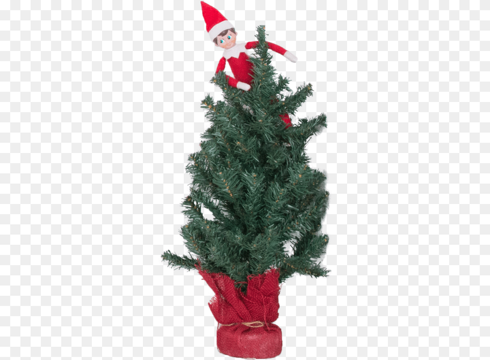 Elf In Tree Christmas Ornament, Plant, Festival, Christmas Decorations, Person Png