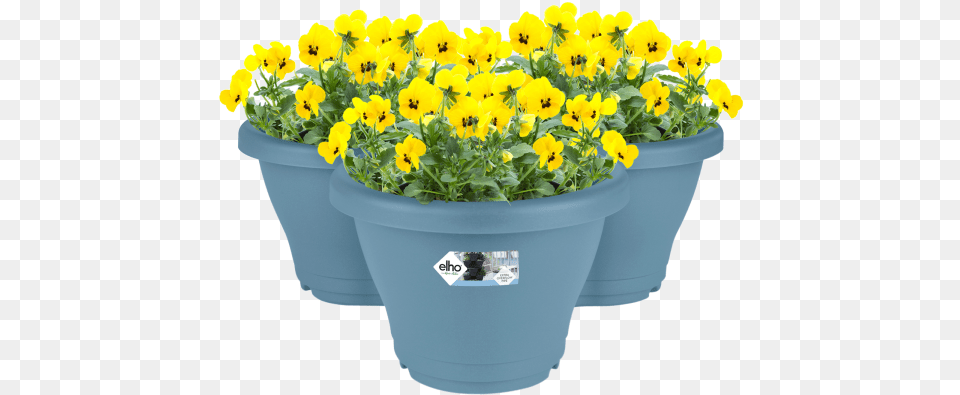 Elho Corsica Vertical Garden, Flower, Jar, Plant, Planter Free Transparent Png