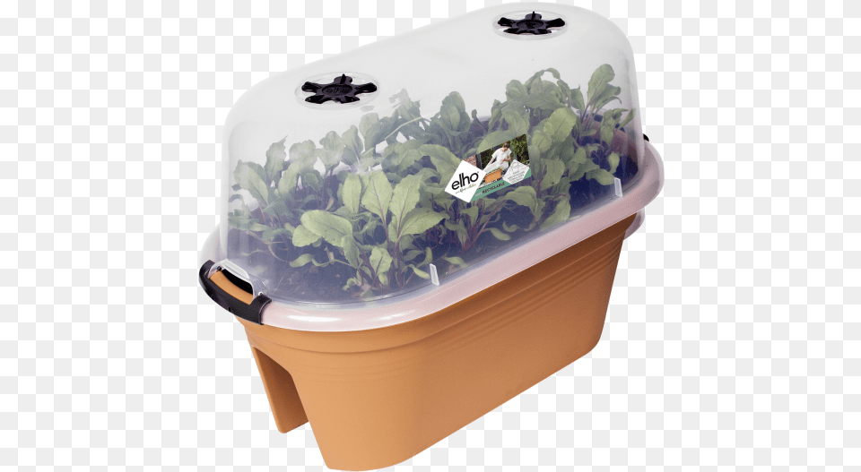 Elho Gb Grow House Flower Bridge 55cm Serre De Culture Elho, Plant, Potted Plant, Person, Food Png