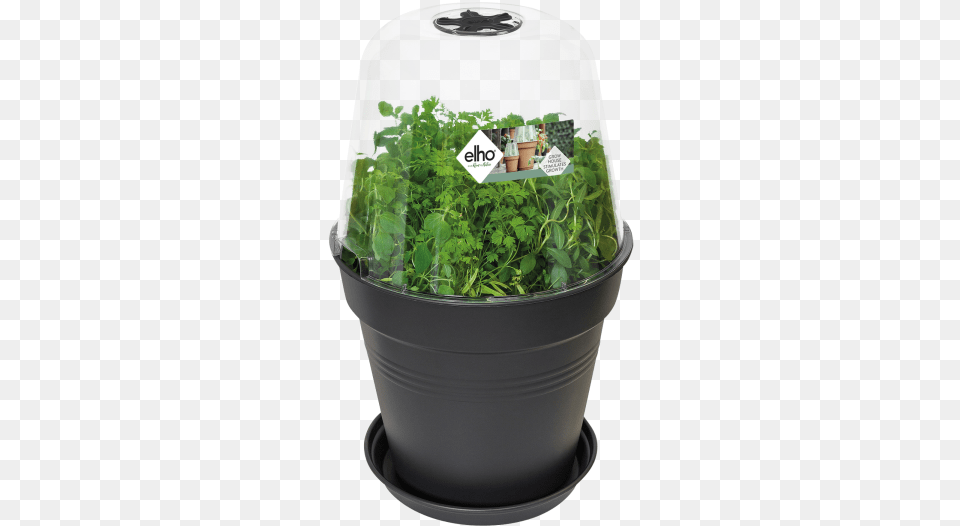 Elho Green Basic Anzuchthaus S, Herbal, Herbs, Plant, Potted Plant Free Transparent Png