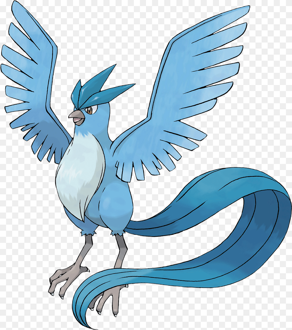 Eli Rate That Pokemon, Animal, Bird, Jay Png