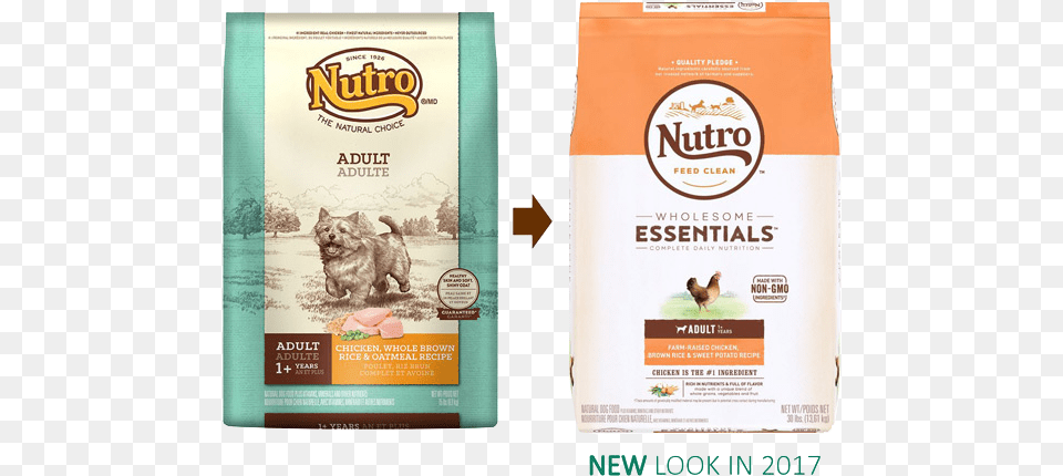Eligible Nutro Natural Non Gmo Dog Food Chicken Brown Rice, Advertisement, Poultry, Pet, Mammal Png Image