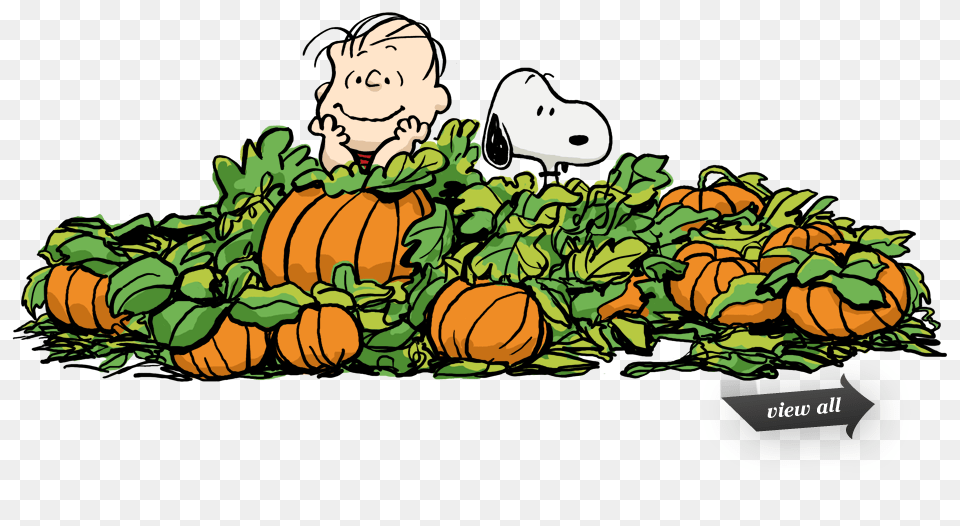 Elijahs Mom Changes The World Its The Great Pumpkin Charlie Brown, Vegetable, Food, Produce, Plant Png Image