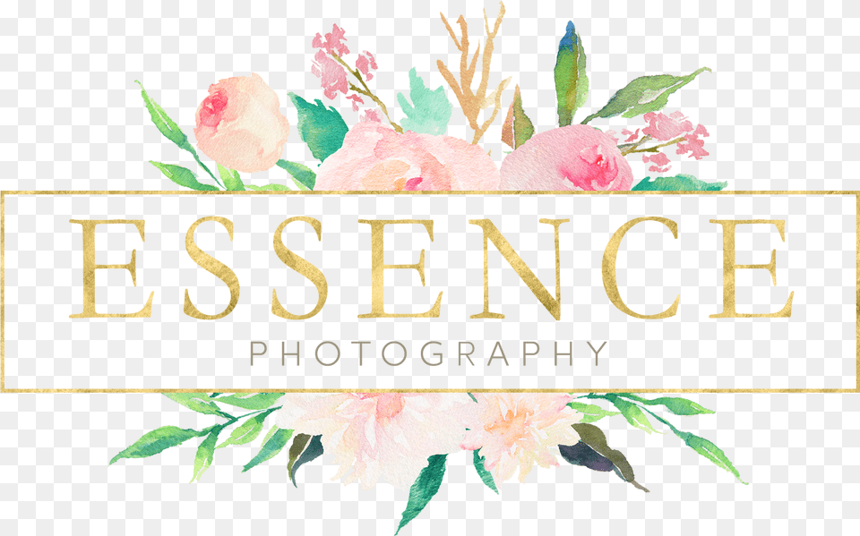 Elisabethe Logo Photography, Flower, Plant, Petal, Rose Free Transparent Png