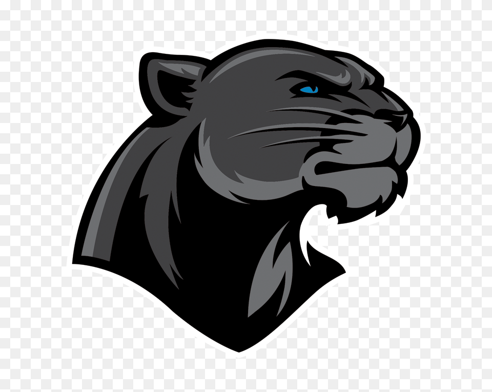 Elite Physique En Black Panthers Thonon, Animal, Mammal, Panther, Wildlife Free Png