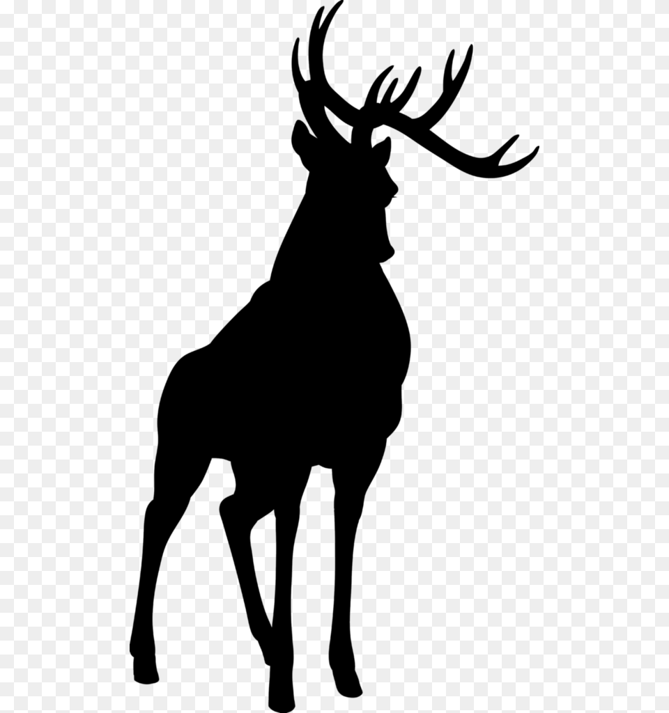 Elk, Gray Free Png