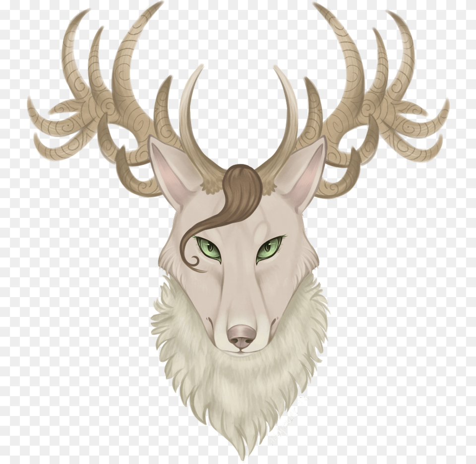 Elk, Antler, Animal, Deer, Mammal Png