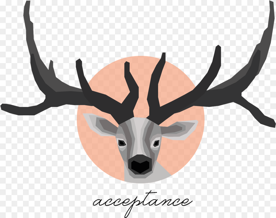 Elk, Animal, Antler, Deer, Mammal Png Image