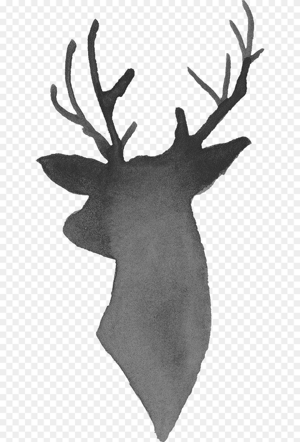 Elk, Animal, Antler, Deer, Mammal Free Png
