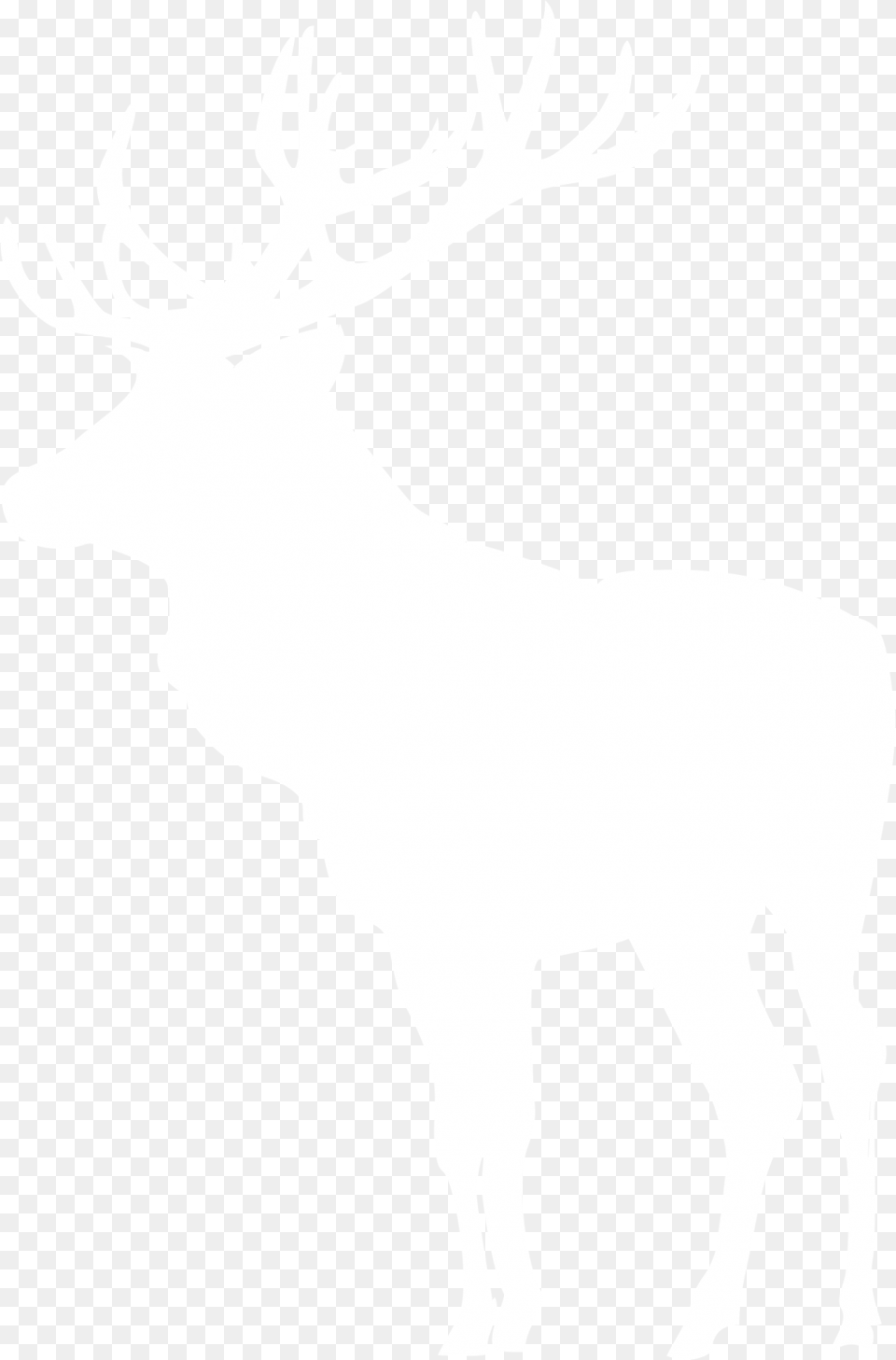 Elk, Animal, Deer, Mammal, Wildlife Png