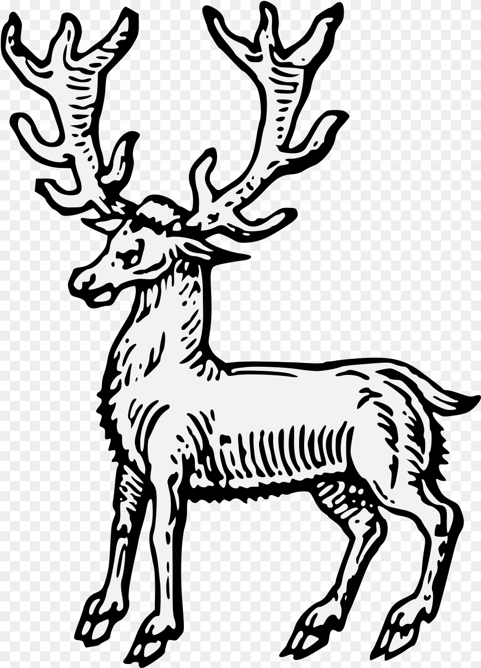 Elk, Animal, Stencil, Mammal, Wildlife Png