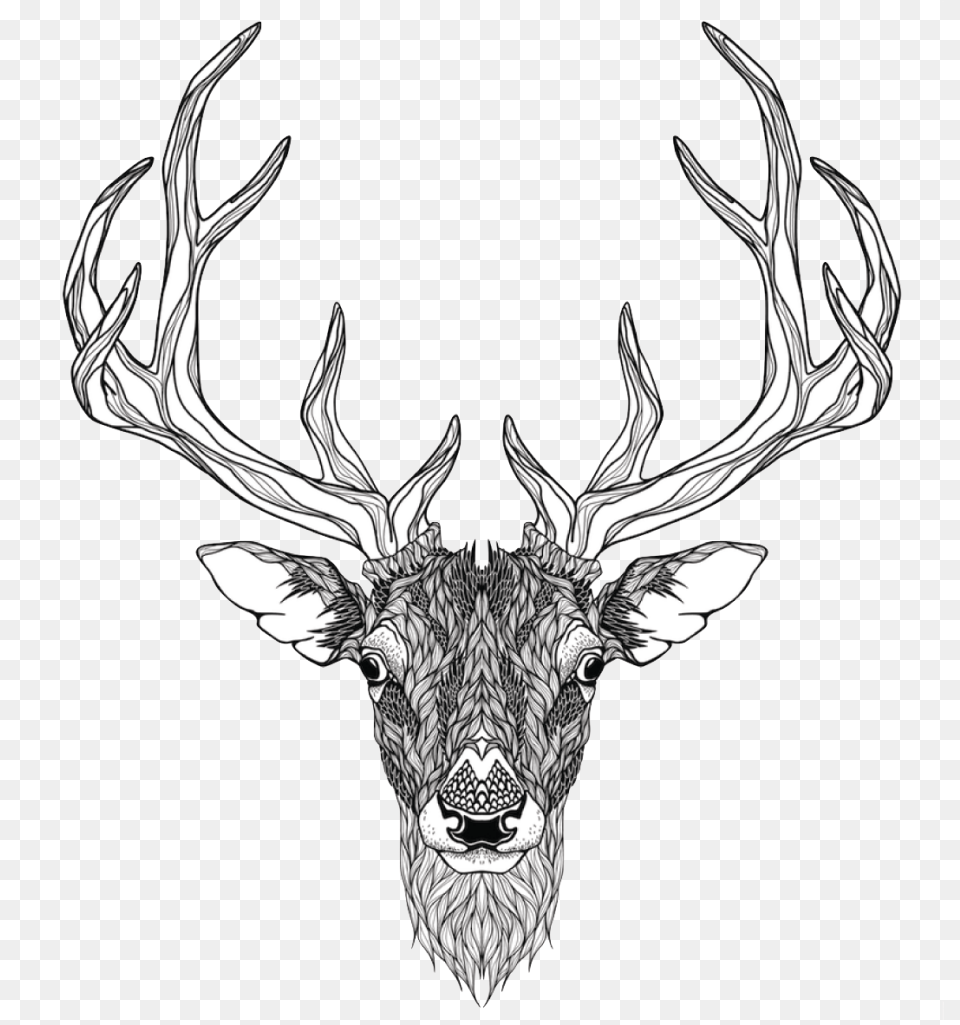 Elk Abziehtattoo Deer Totem Red Deer Head Tattoo, Animal, Mammal, Wildlife, Antler Free Transparent Png