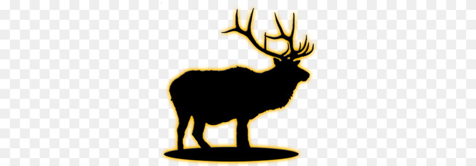 Elk Antler, Animal, Deer, Mammal, Wildlife Free Png Download