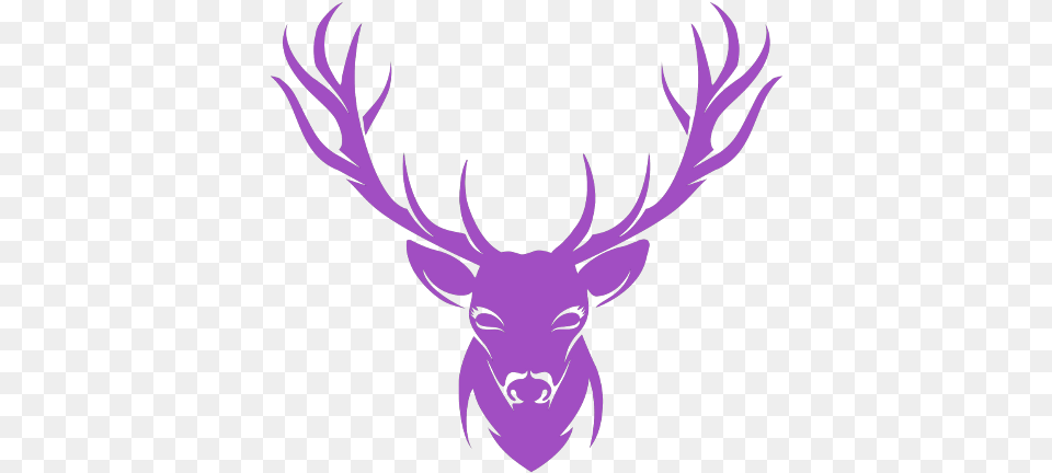 Elk Antlers Drawing, Animal, Deer, Mammal, Wildlife Free Png