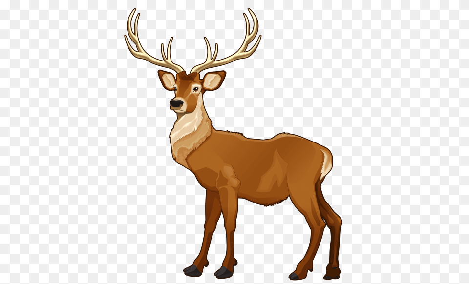 Elk Art, Animal, Deer, Mammal, Wildlife Png Image