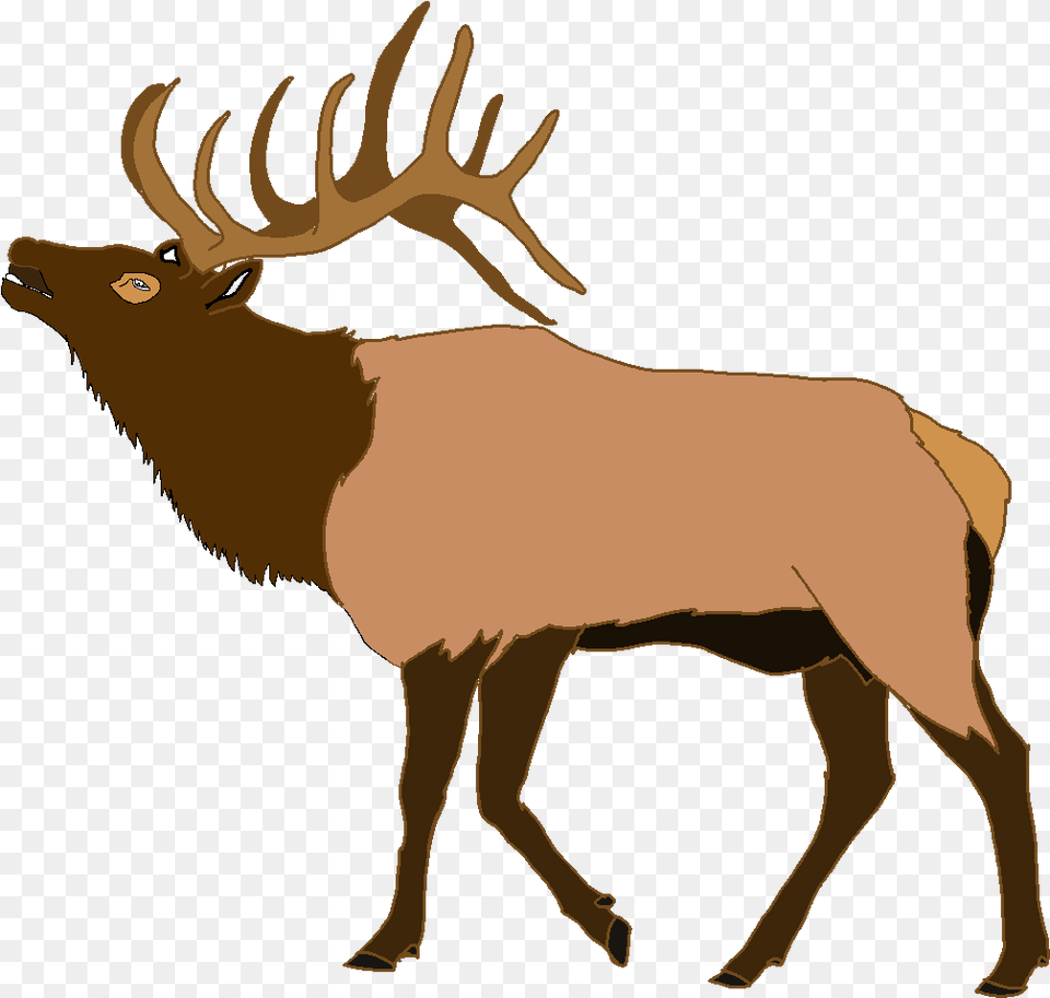 Elk Clip Art, Animal, Deer, Mammal, Wildlife Png Image