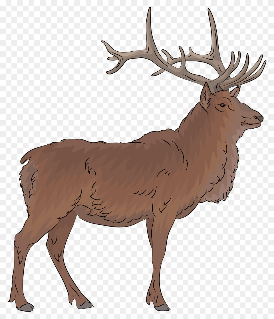 Elk Clipart, Animal, Deer, Mammal, Wildlife Png Image