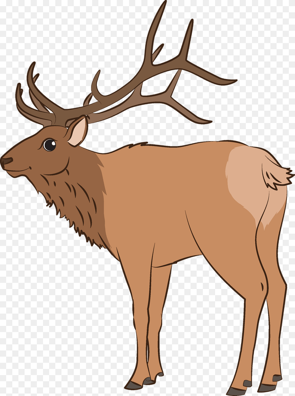 Elk Clipart, Animal, Deer, Mammal, Wildlife Free Png Download