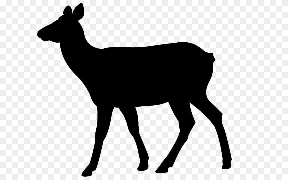 Elk Clipart Elk Head, Gray Png