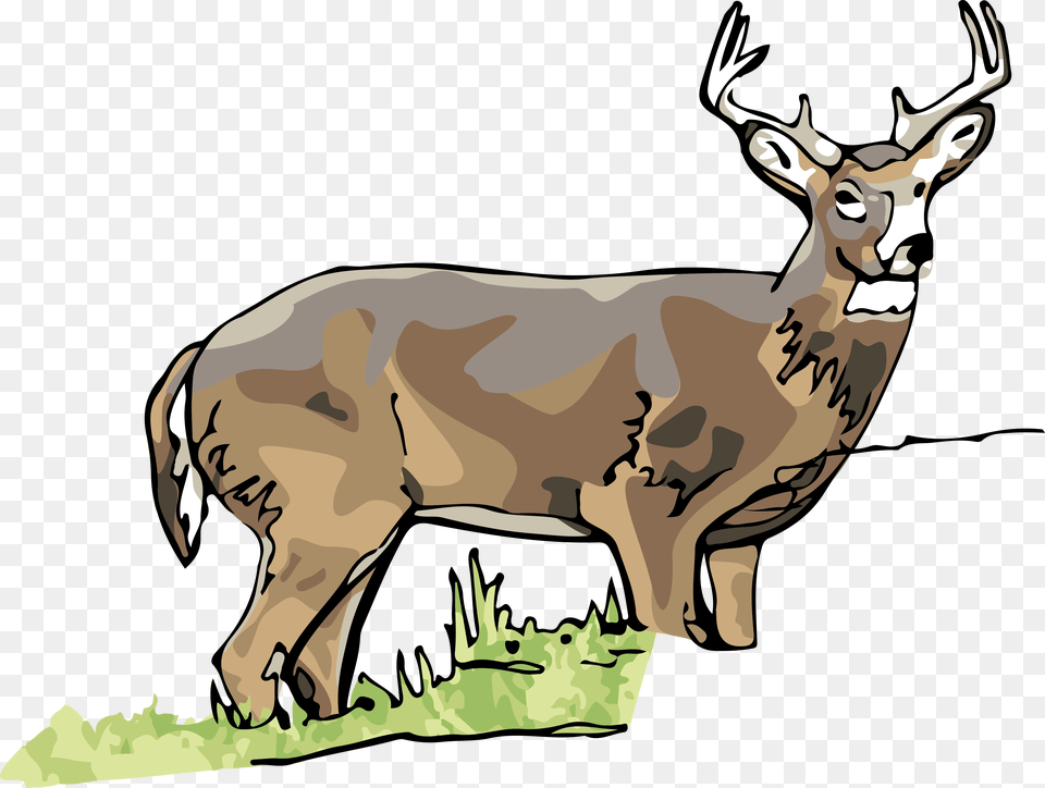 Elk Clipart White Tailed Deer, Animal, Mammal, Wildlife, Kangaroo Free Png