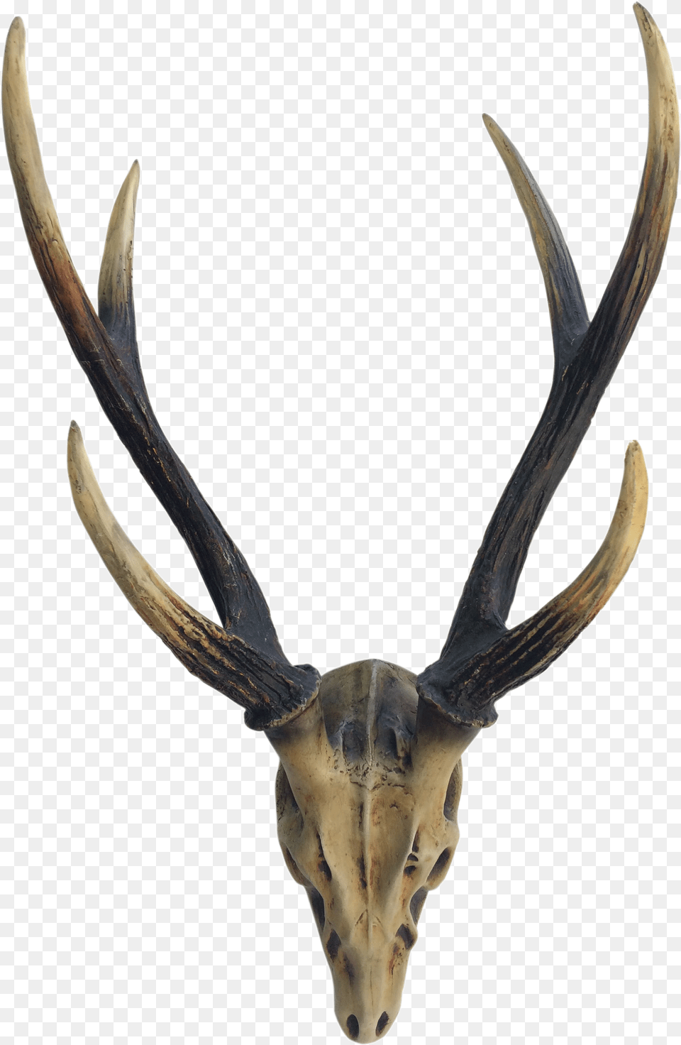 Elk Deer Horn Antler Reindeer, Blade, Dagger, Knife, Weapon Png Image
