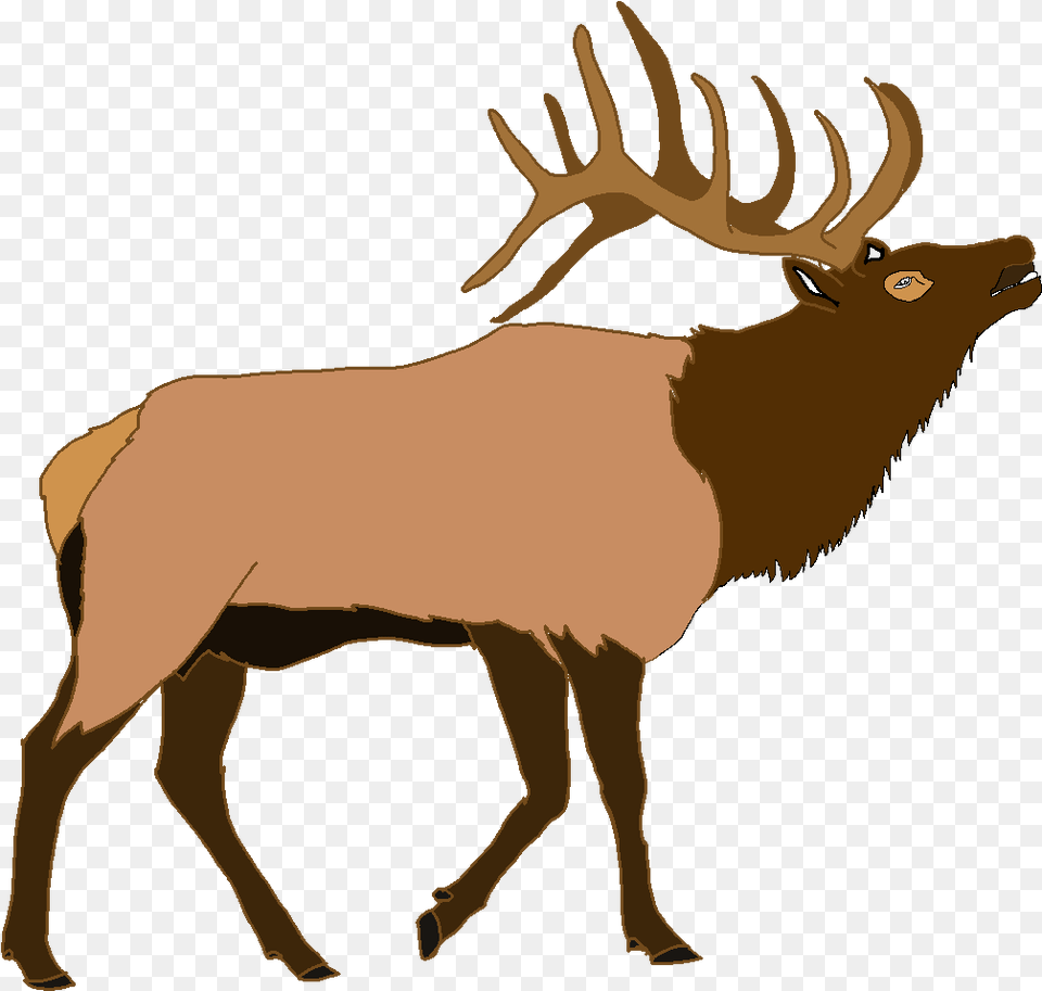 Elk Deer Illustration Vector Graphics Moose Elk Clipart, Animal, Mammal, Wildlife, Cattle Free Png Download