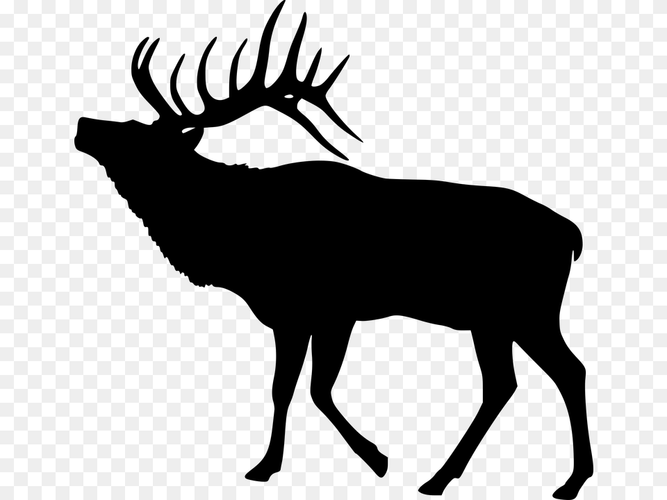 Elk Deer Silhouette Animal Mammal Antler Wildlife Elk Clipart Black And White, Gray Png
