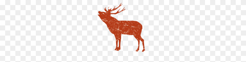 Elk Drawing, Animal, Deer, Mammal, Wildlife Png Image