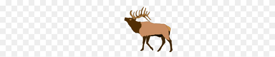 Elk Head Vector, Animal, Deer, Mammal, Wildlife Png
