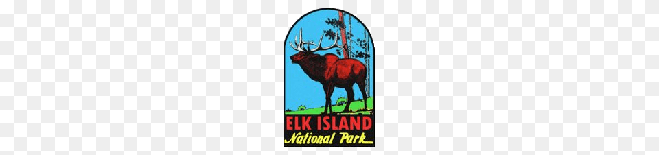 Elk Island National Park Sticker, Animal, Deer, Mammal, Wildlife Free Png