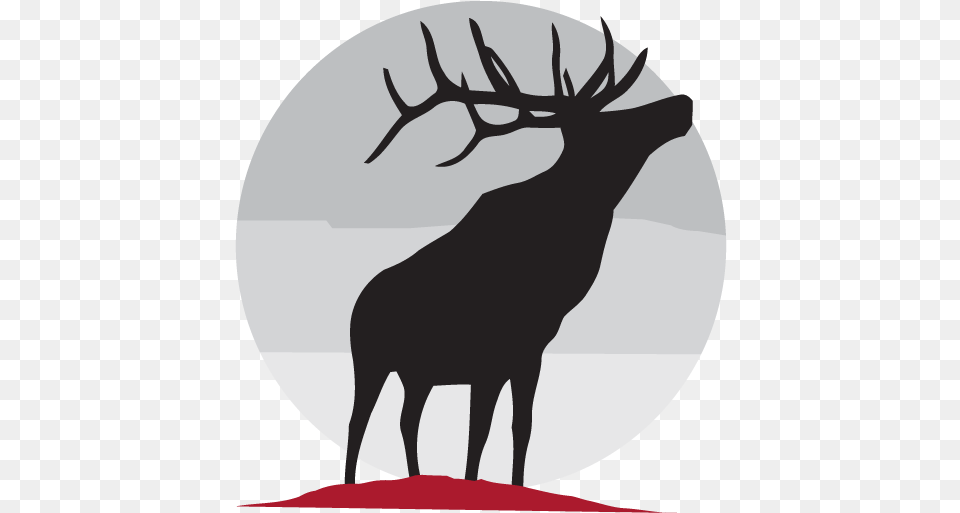 Elk Ridge Middle Elk, Animal, Deer, Mammal, Wildlife Free Png Download