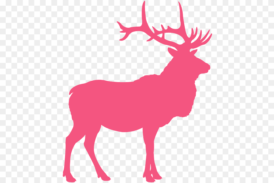 Elk Silhouette, Animal, Deer, Mammal, Wildlife Png Image