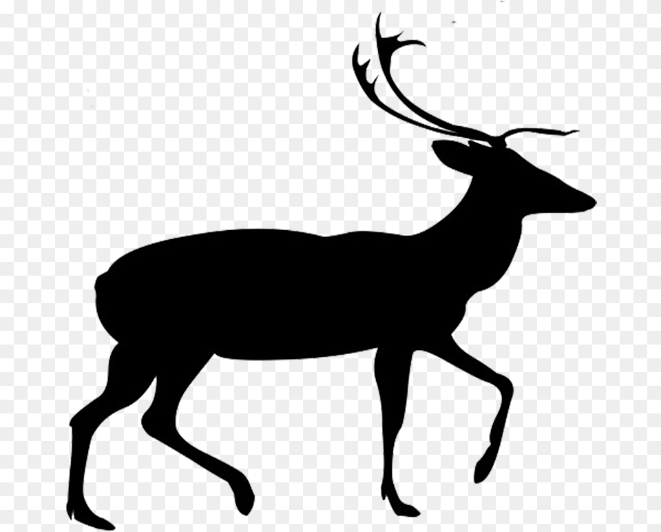 Elk Silhouette, Animal, Deer, Mammal, Wildlife Free Png
