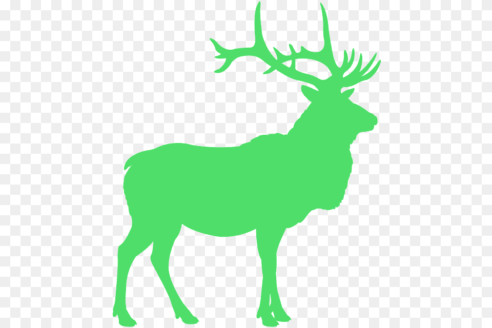 Elk Silhouette, Animal, Deer, Mammal, Wildlife Free Transparent Png