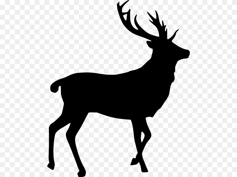 Elk Silhouette Cut Out Stag Bull Elk, Gray Png