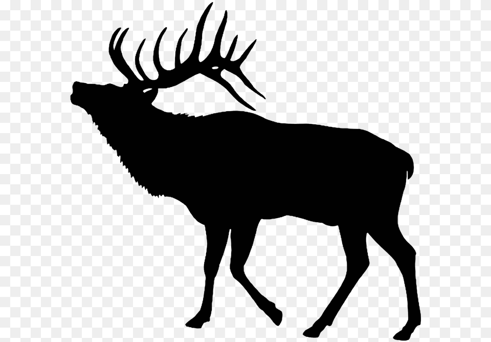 Elk Silhouette Cut Out Stag Bull Elk Clipart, Gray Free Png Download