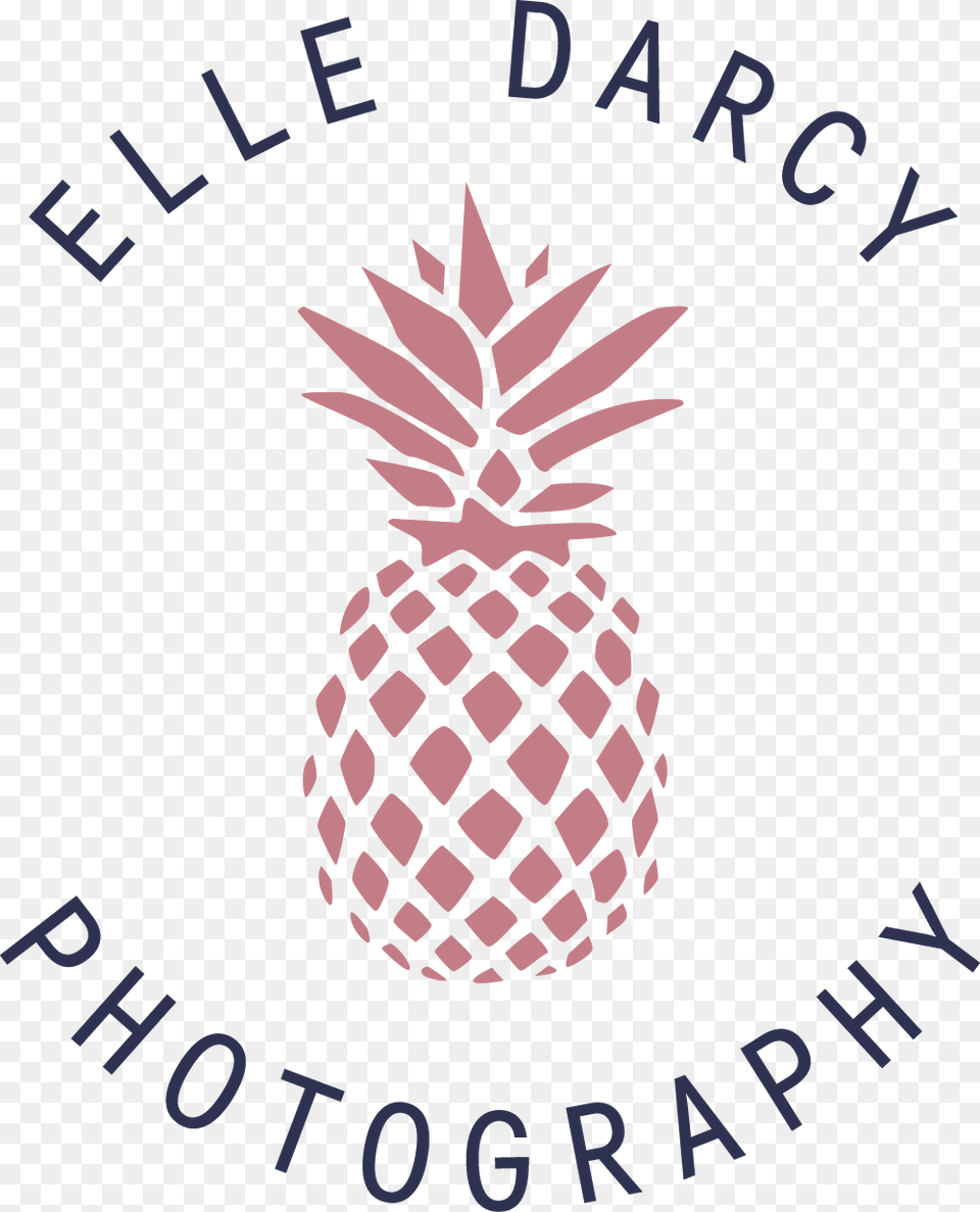 Elledarcy Circular Twocolor Blue Pineapple, Food, Fruit, Plant, Produce Free Png