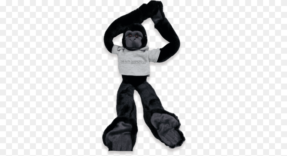 Ellen Degeneres Wildlife Fund Stuffed Gorilla Stretching, Baby, Person Png Image